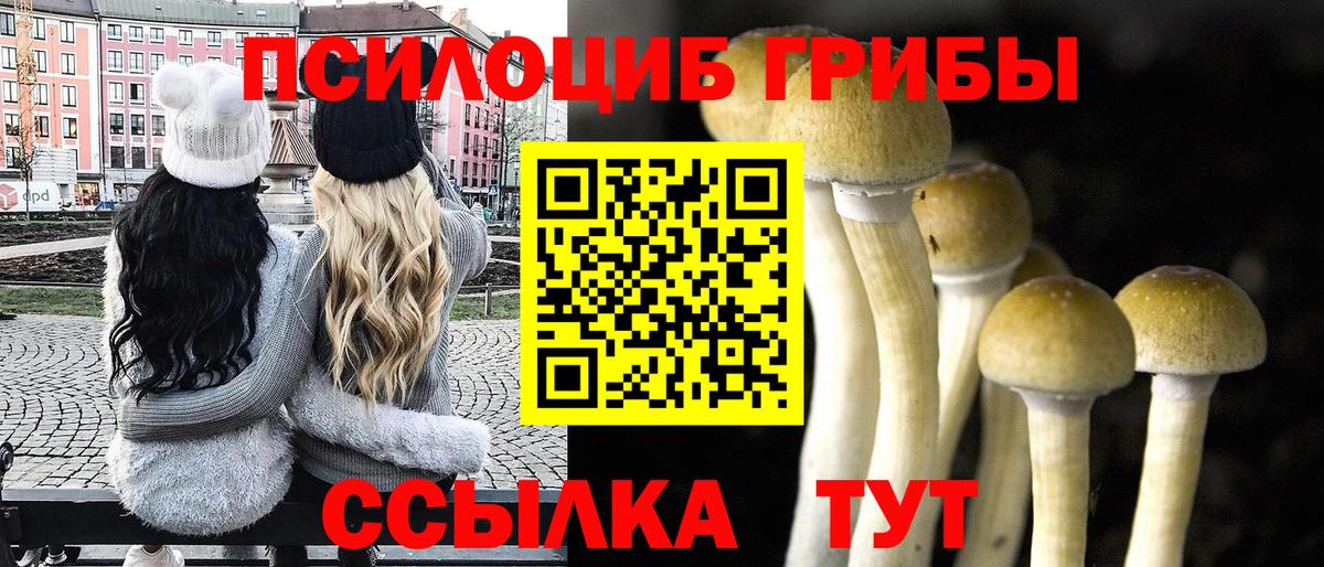 Псилоцибиновые грибы Magic Shrooms Пушкино
