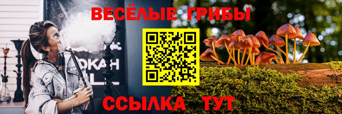 Псилоцибиновые грибы мицелий  Пушкино 