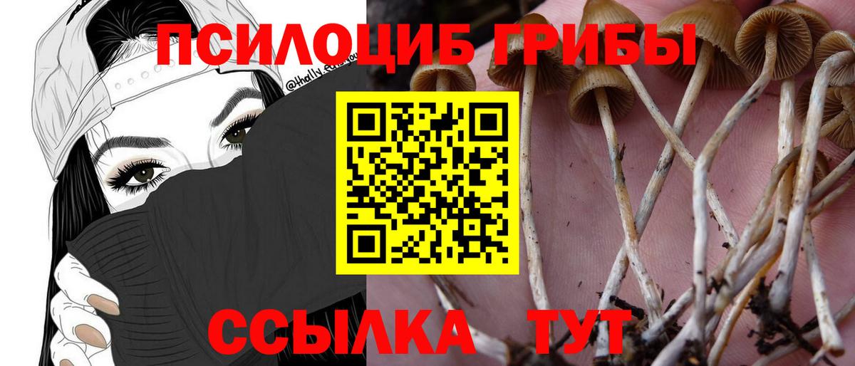 Псилоцибиновые грибы Psilocybine cubensis  Галлюциногенные грибы ЛСД  Пушкино  Вход с VPN 